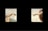 A digital artwork displaying two segments of Michelangelo's 'Creation of Adam', each appearing as if viewed within a computer window. The left section features the beginnings of an outstretched arm, while the right section displays another arm reaching toward it. Both are set against a neutral background with subtle hues.