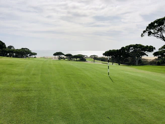 A wide open plot of land near the ocean, with green grass and a clear horizon.