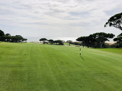 A wide open plot of land near the ocean, with green grass and a clear horizon.
