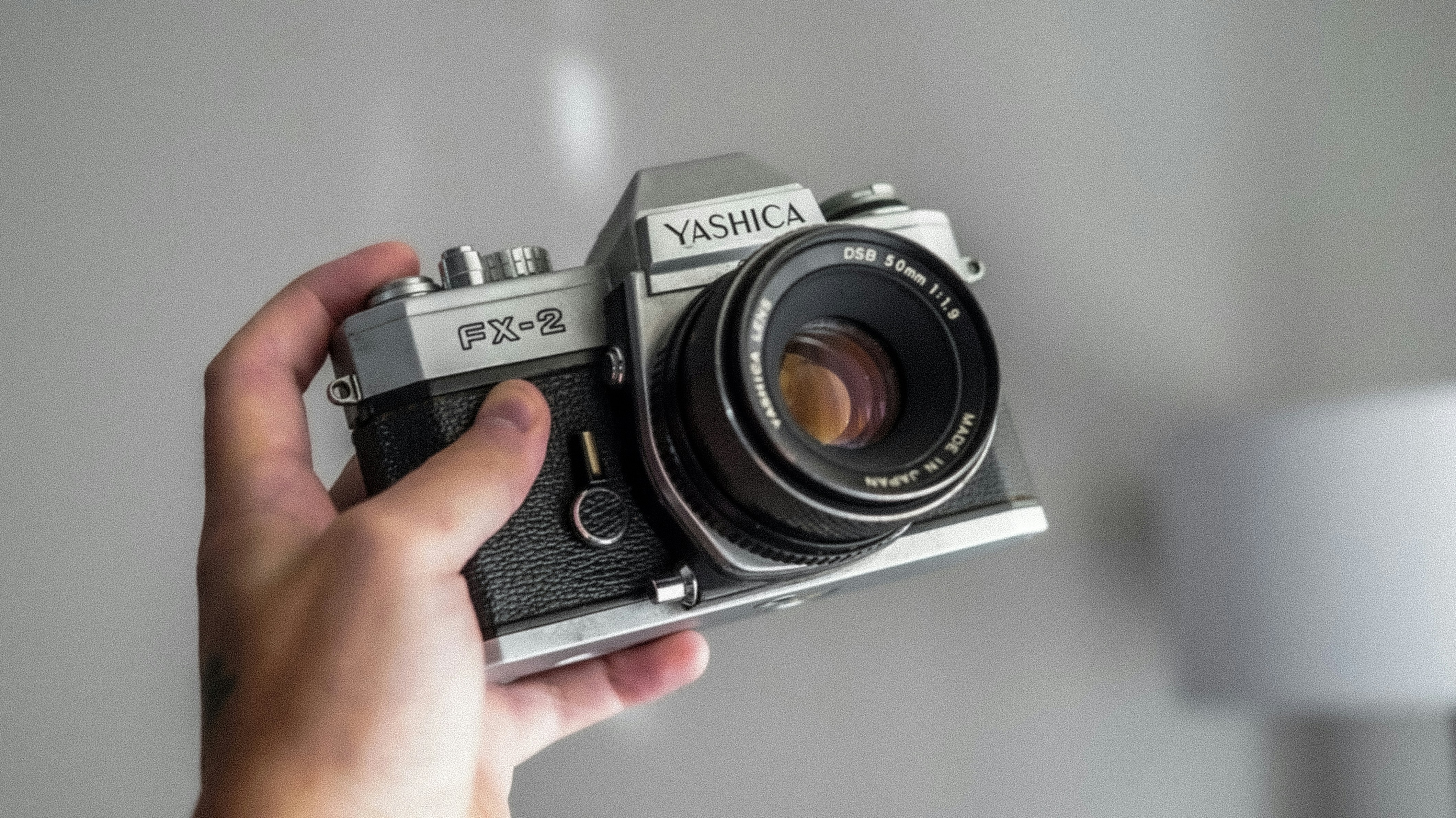 Photo by viniciusamano