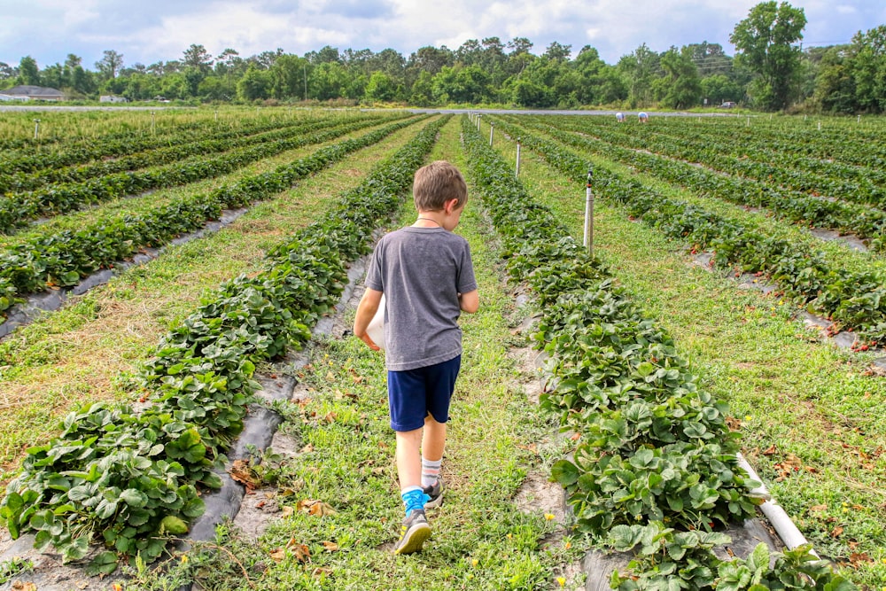 boy in gray t-shirt walking on green grass field during daytime