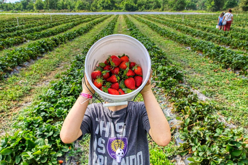 Junge im grauen Rundhals-T-Shirt mit weißem Plastikeimer mit Erdbeeren