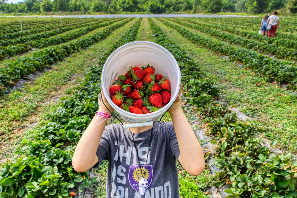 garçon en t-shirt à col rond gris tenant un seau en plastique blanc avec des fraises