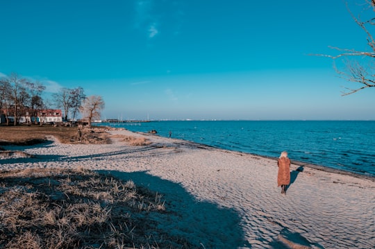 woman in brown jacket walking on seashore during daytime in Humlebaek Denmark