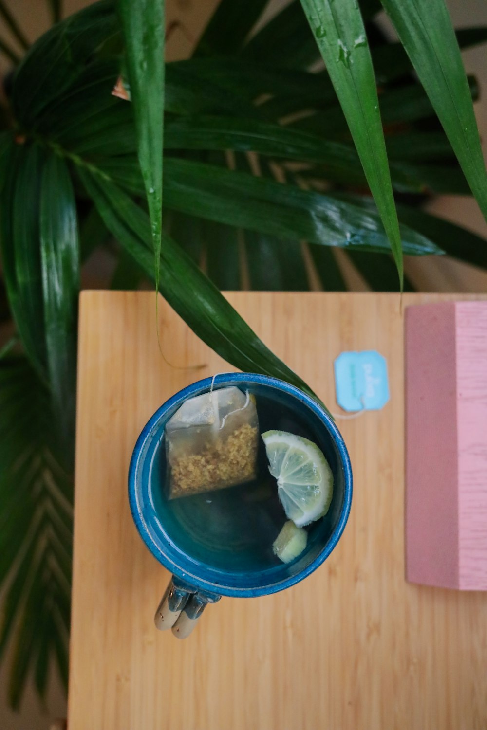 blue round plastic container on brown wooden table