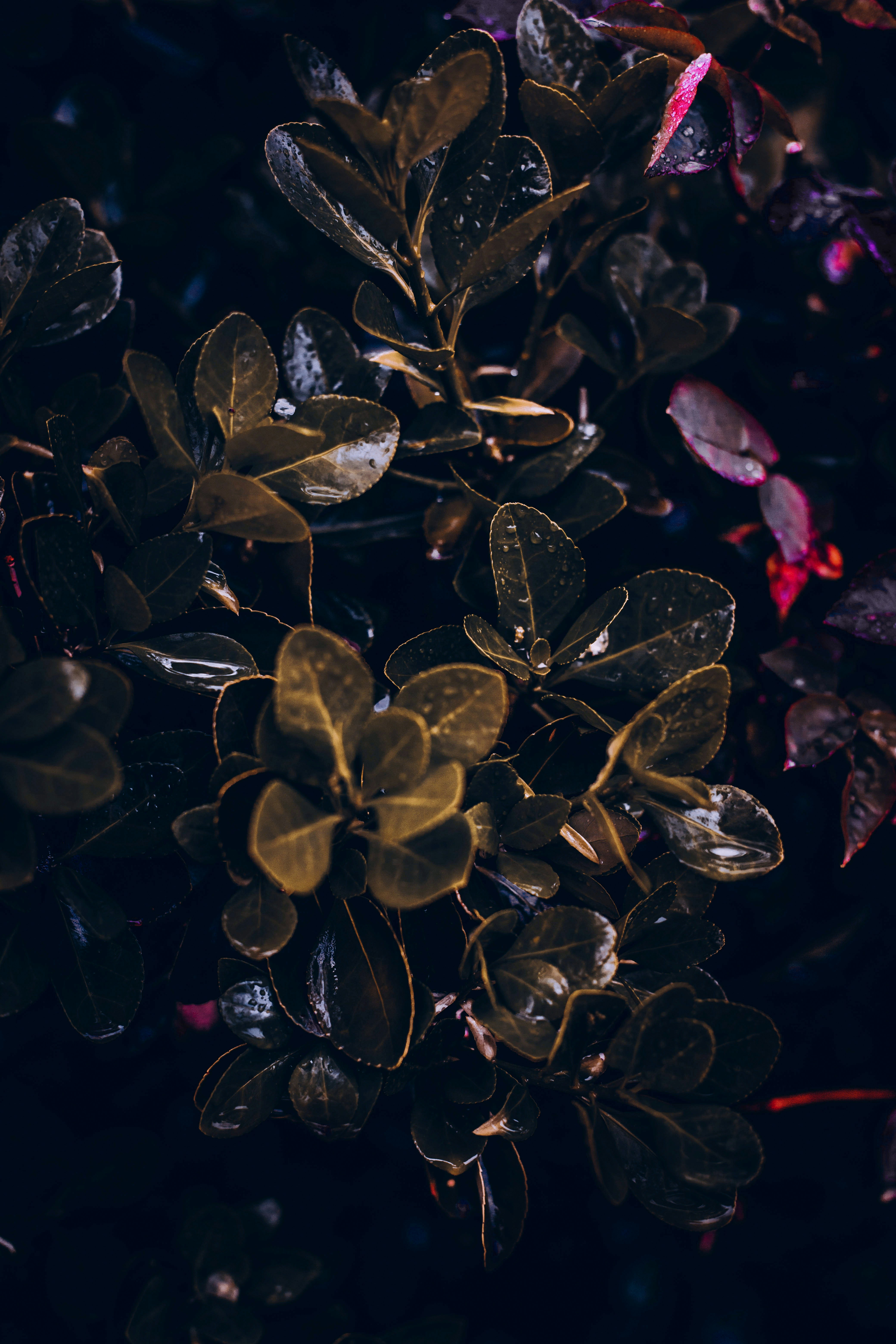 Photo by mahdisaviz