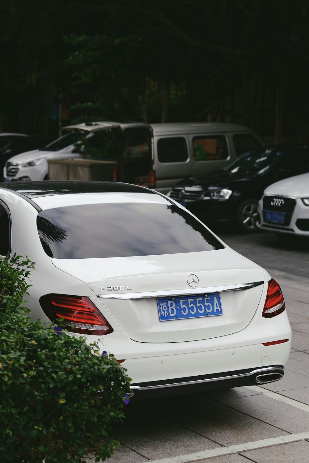 white honda car parked beside green plants during daytime