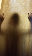 A shadowy figure with outstretched hands is seen behind a semi-transparent curtain, creating a mysterious and eerie silhouette.