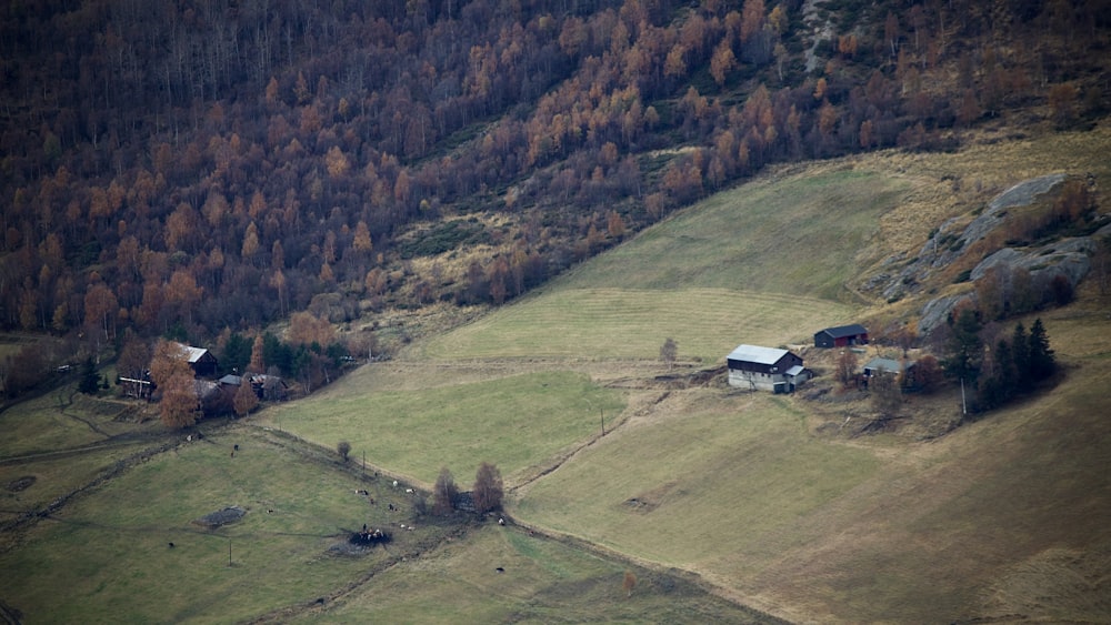 white and black house on green grass field