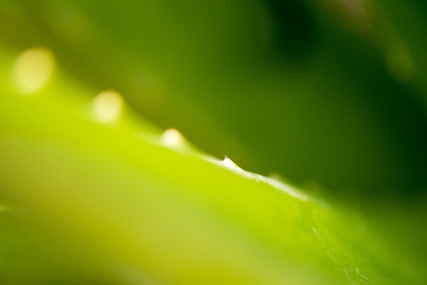 Abstract close-up of layered skincare textures blending into soft muted green waves.