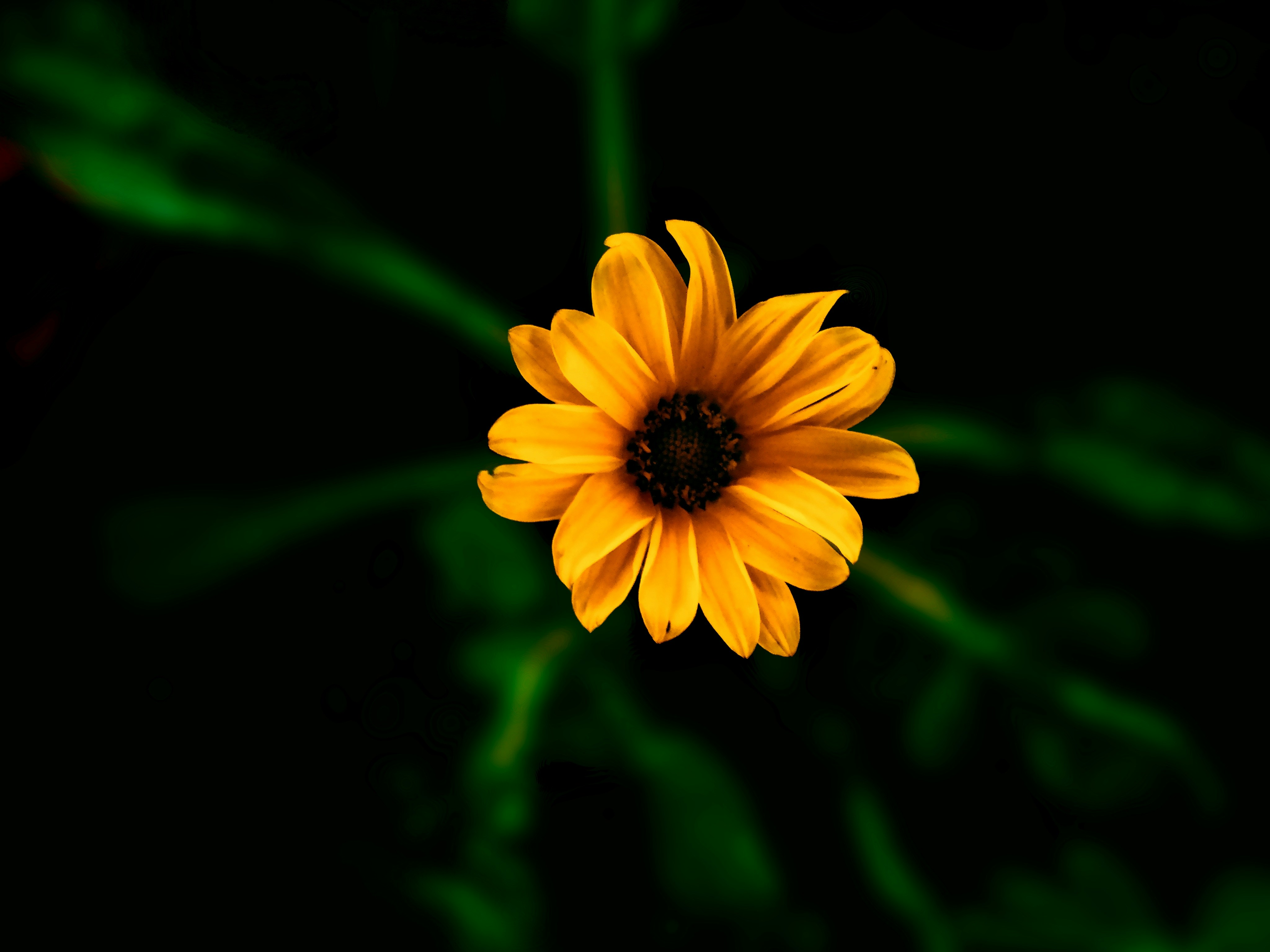 Photo by avanq