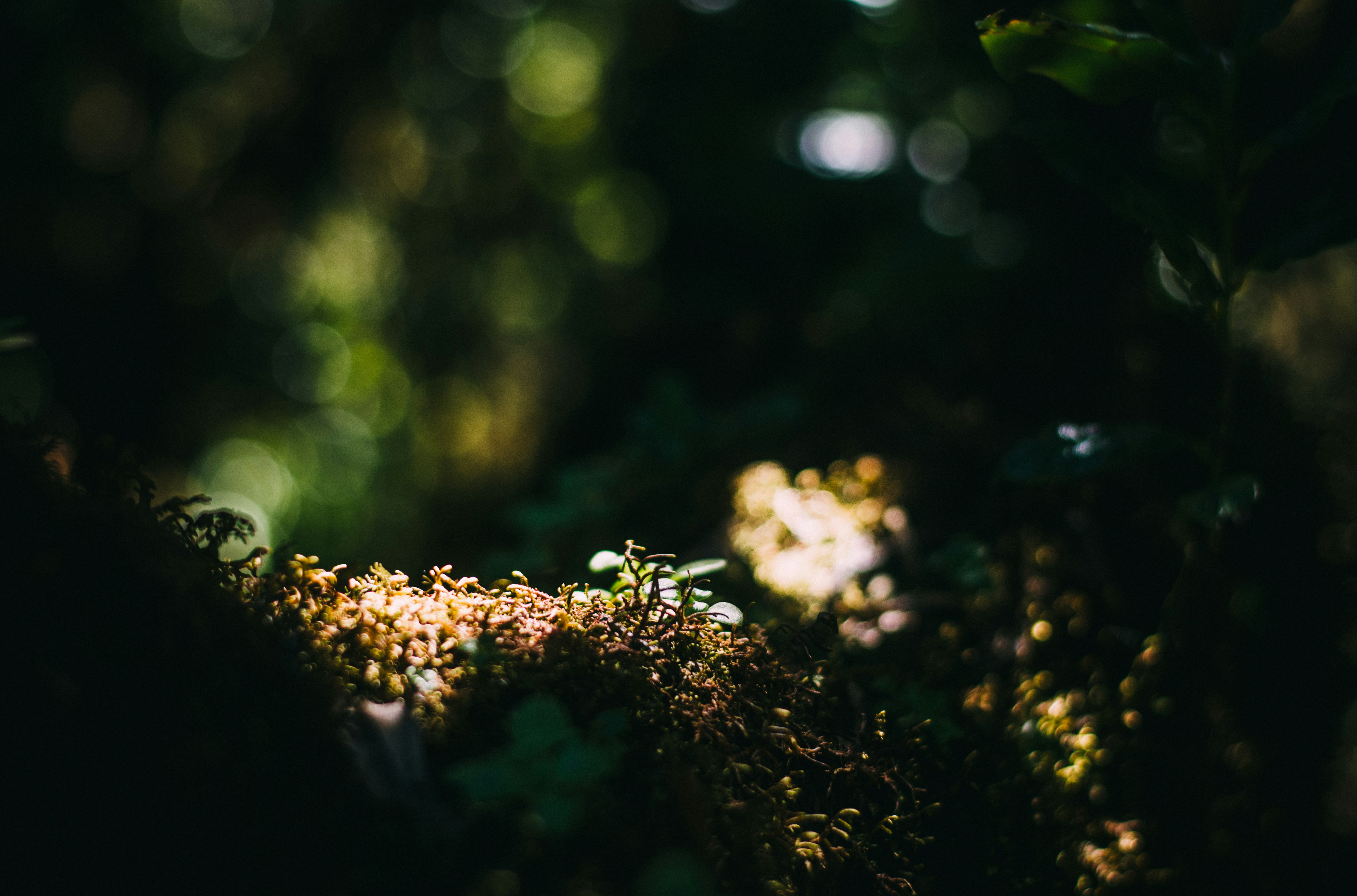 Photo by benjamin_artwok