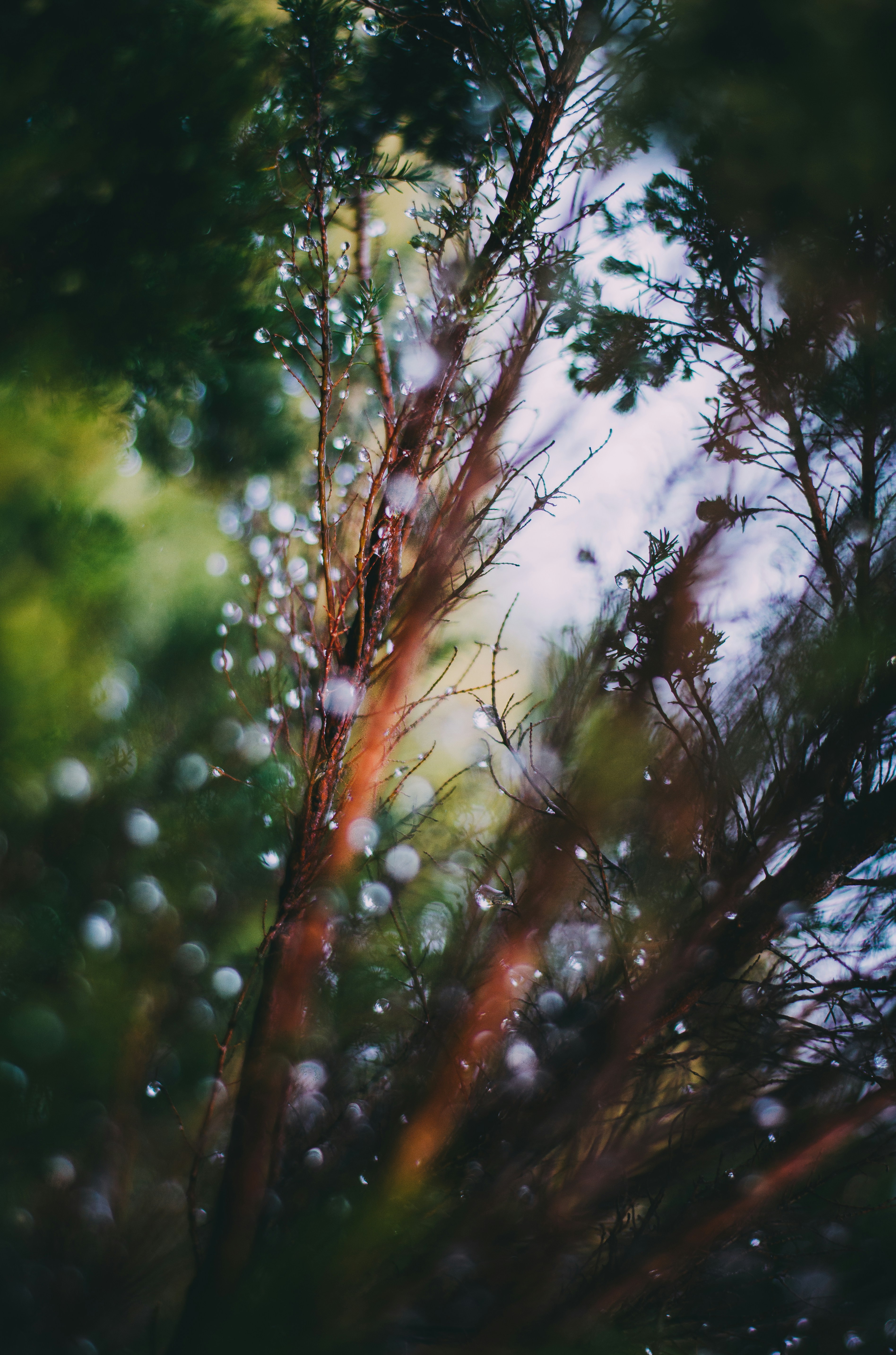 Photo by benjamin_artwok