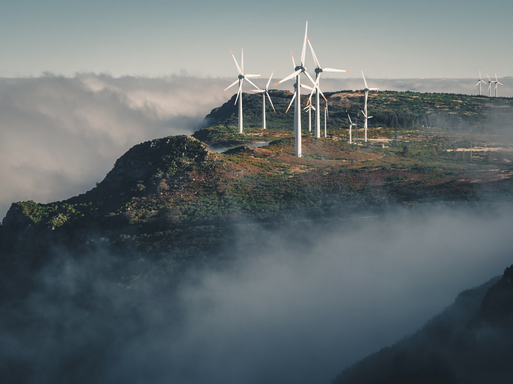 white wind turbines on green grass field near body of water during daytime