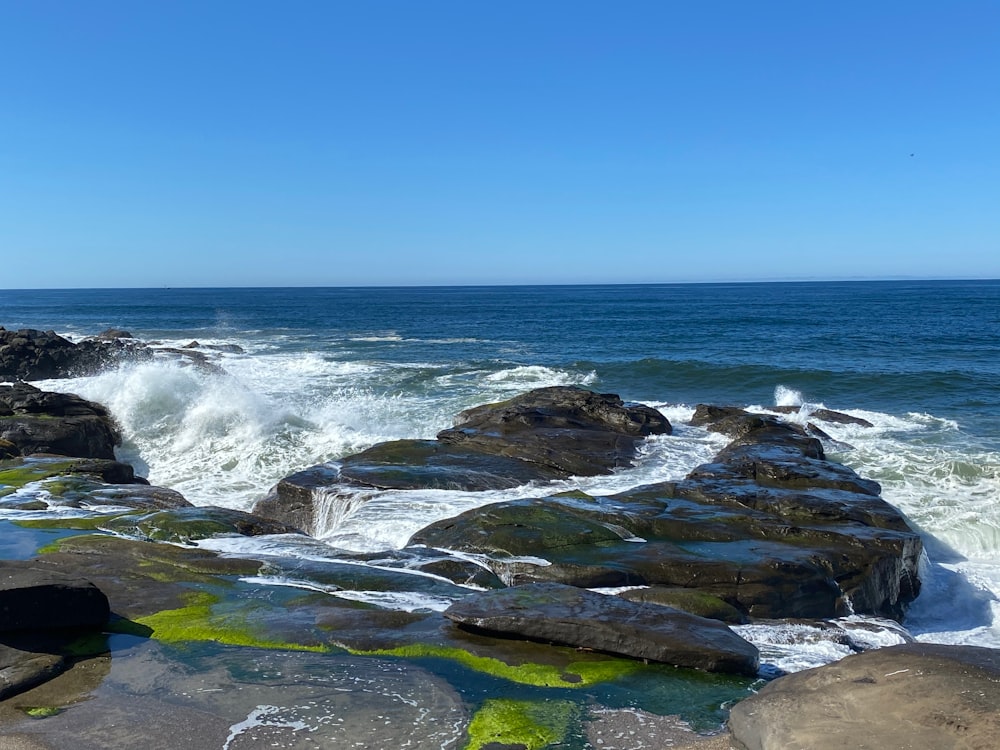 musgo verde en las rocas junto al mar bajo el cielo azul durante el día