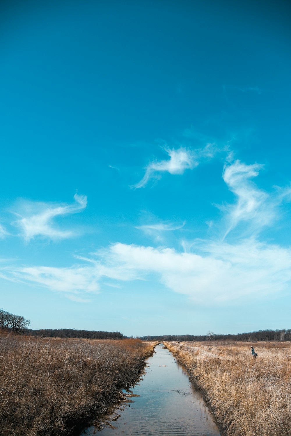 campo di erba marrone sotto il cielo blu durante il giorno