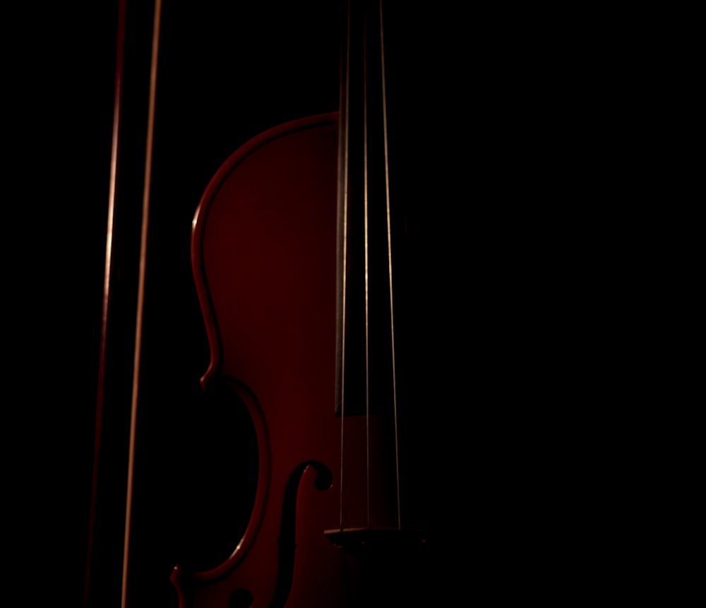 brown violin on black background
