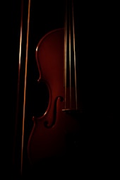 brown violin with black background