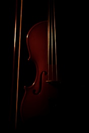 brown violin with black background