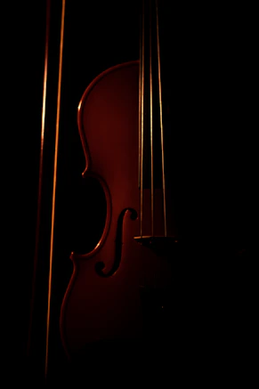 brown violin with black background