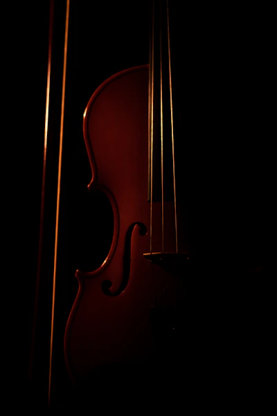 brown violin with black background