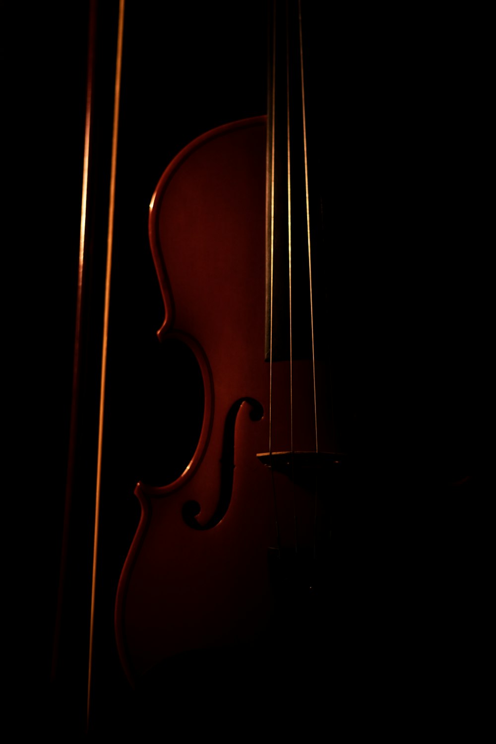 brown violin with black background