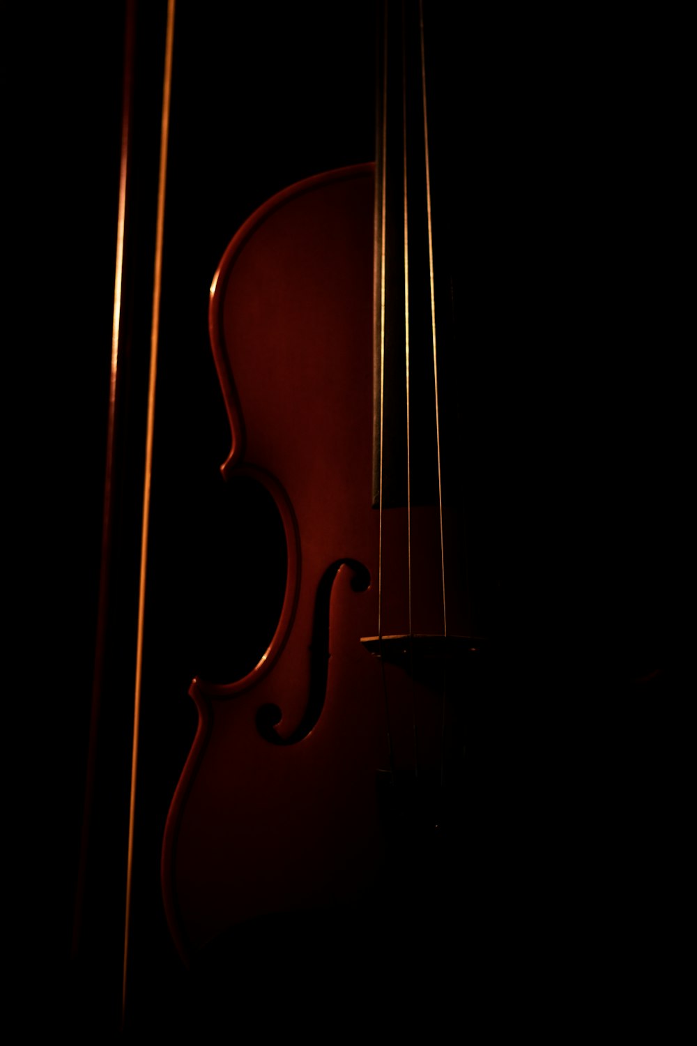 검은 배경의 갈색 바이올린