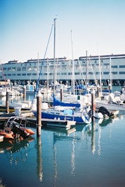 white and black boats on dock during daytime