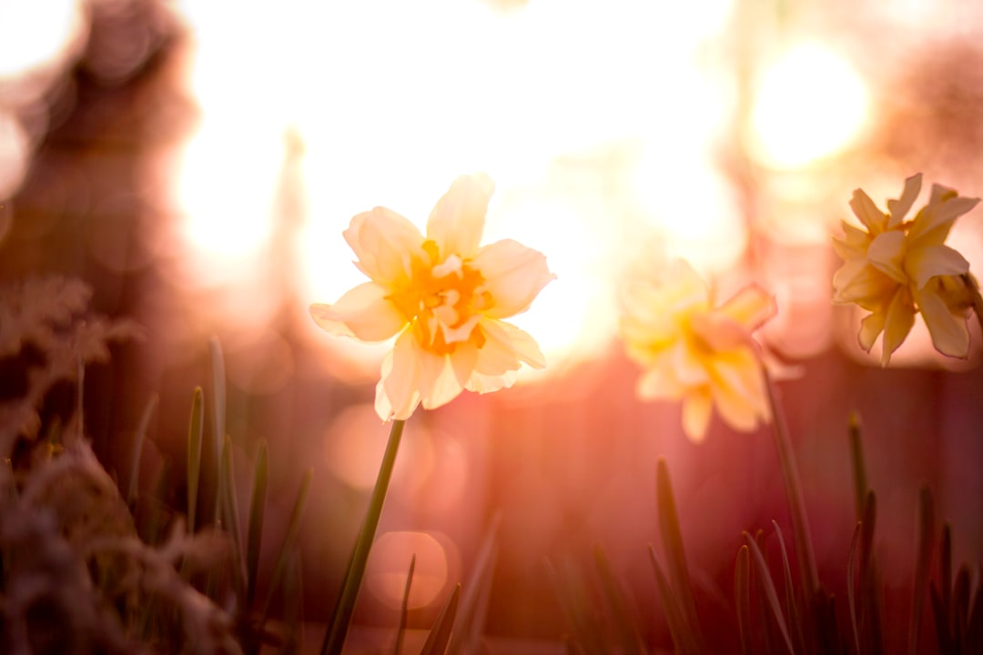 3 Perfect Poems for Your Spring Equinox Extravaganza
