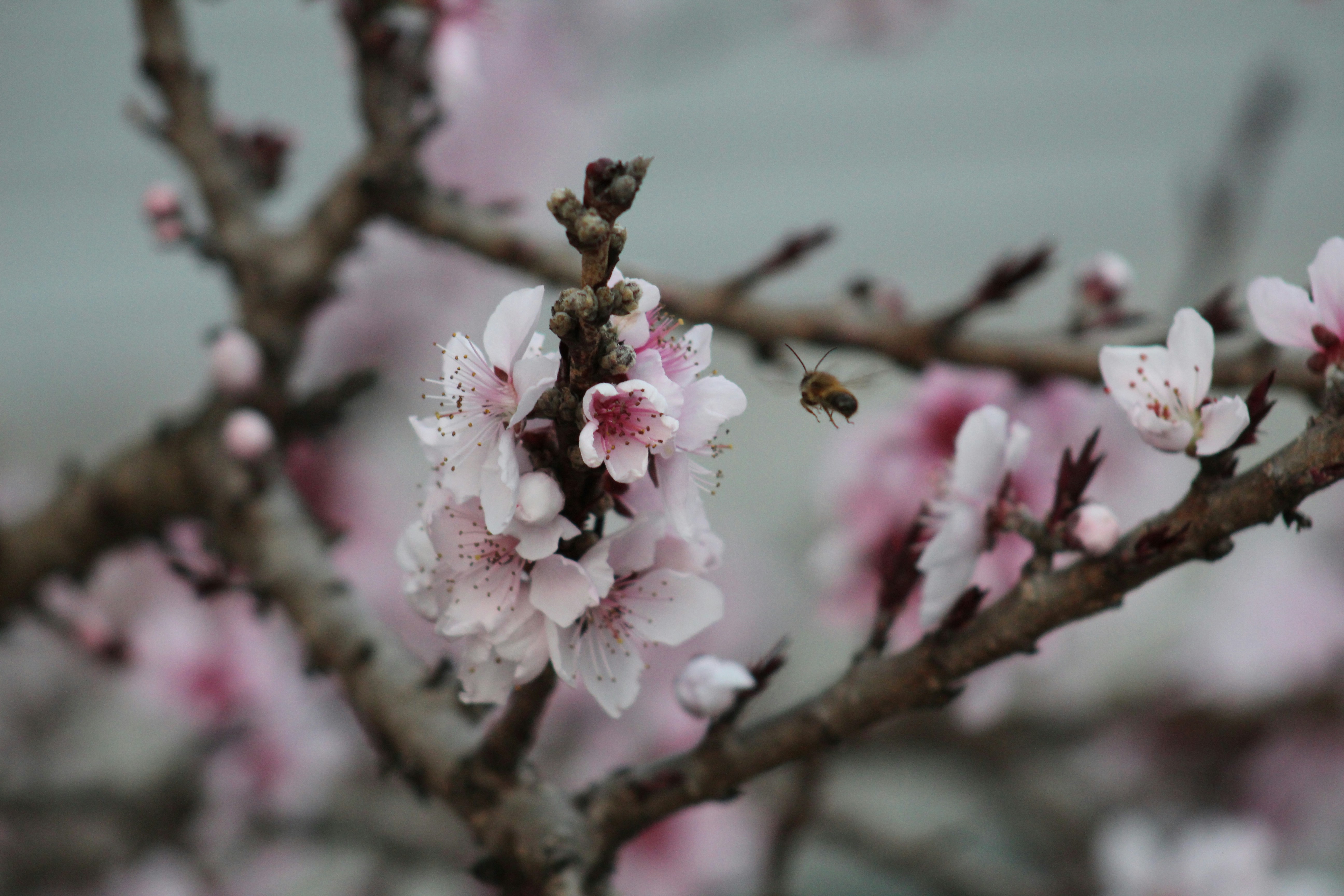 Photo by pythia_of_delphi