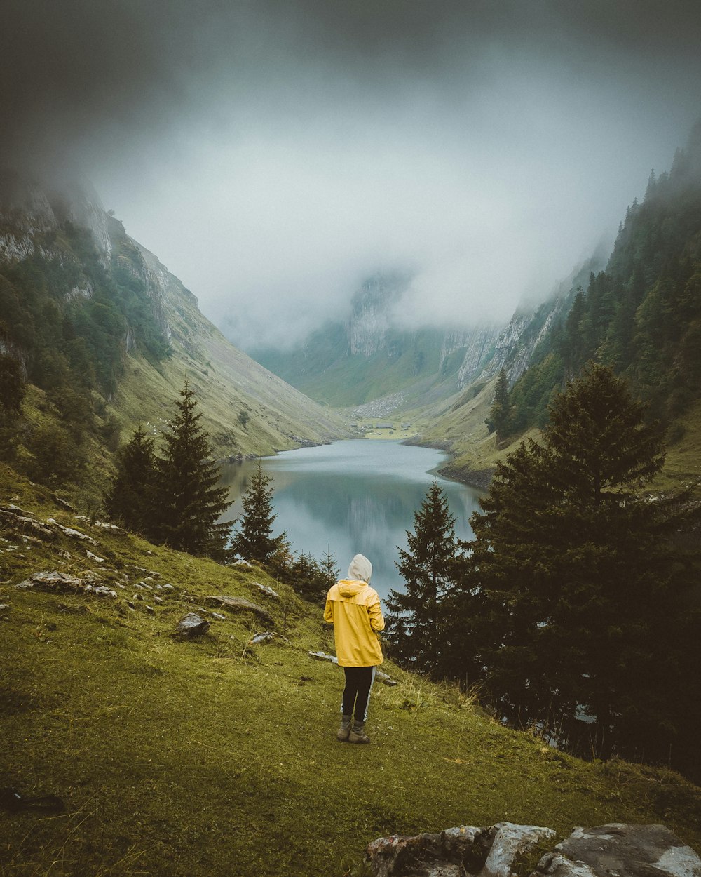 person in yellow jacket standing on green grass field near lake during daytime