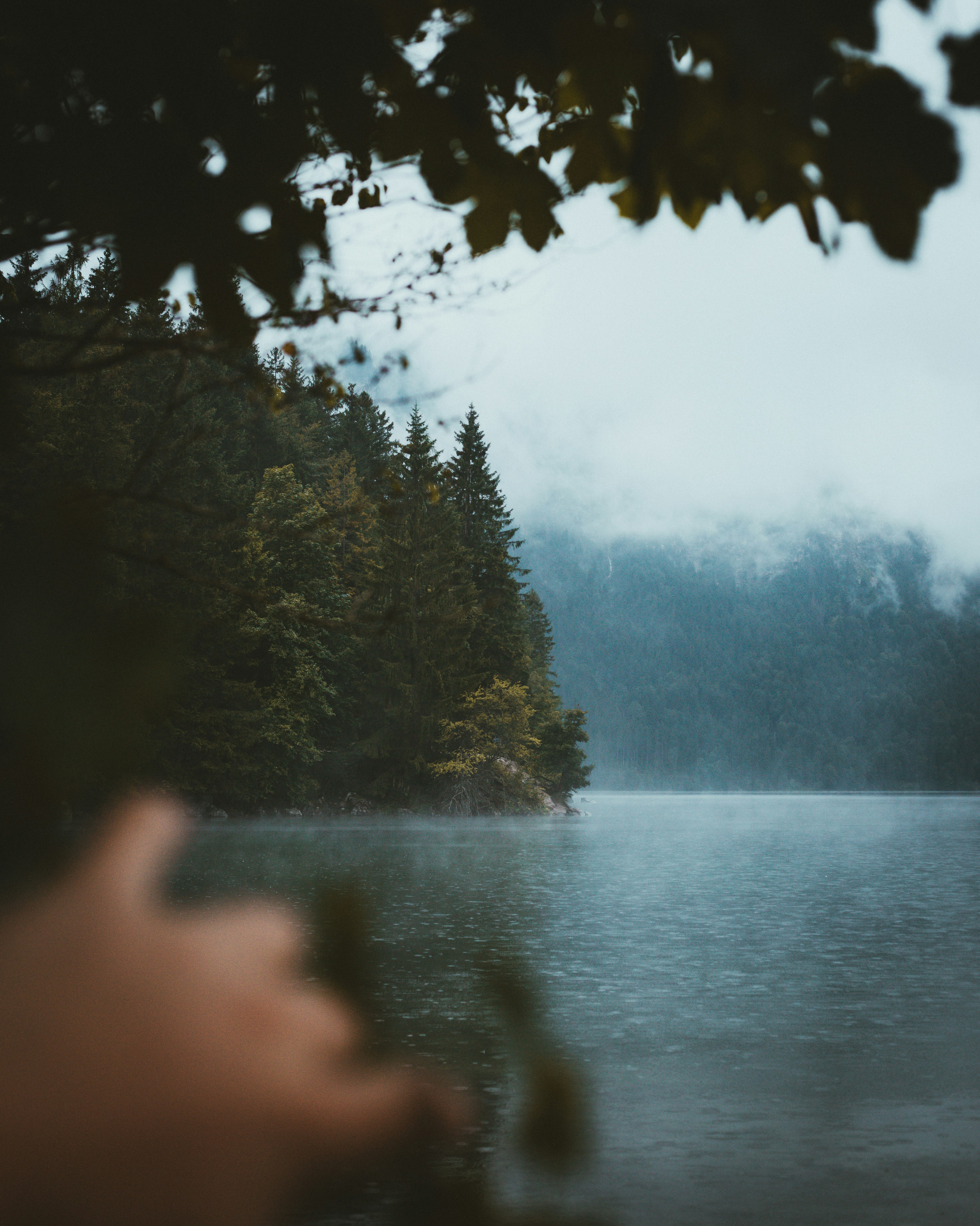 Photo by chrishenryphoto