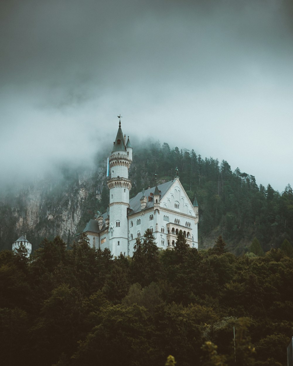 white and black castle surrounded by green trees