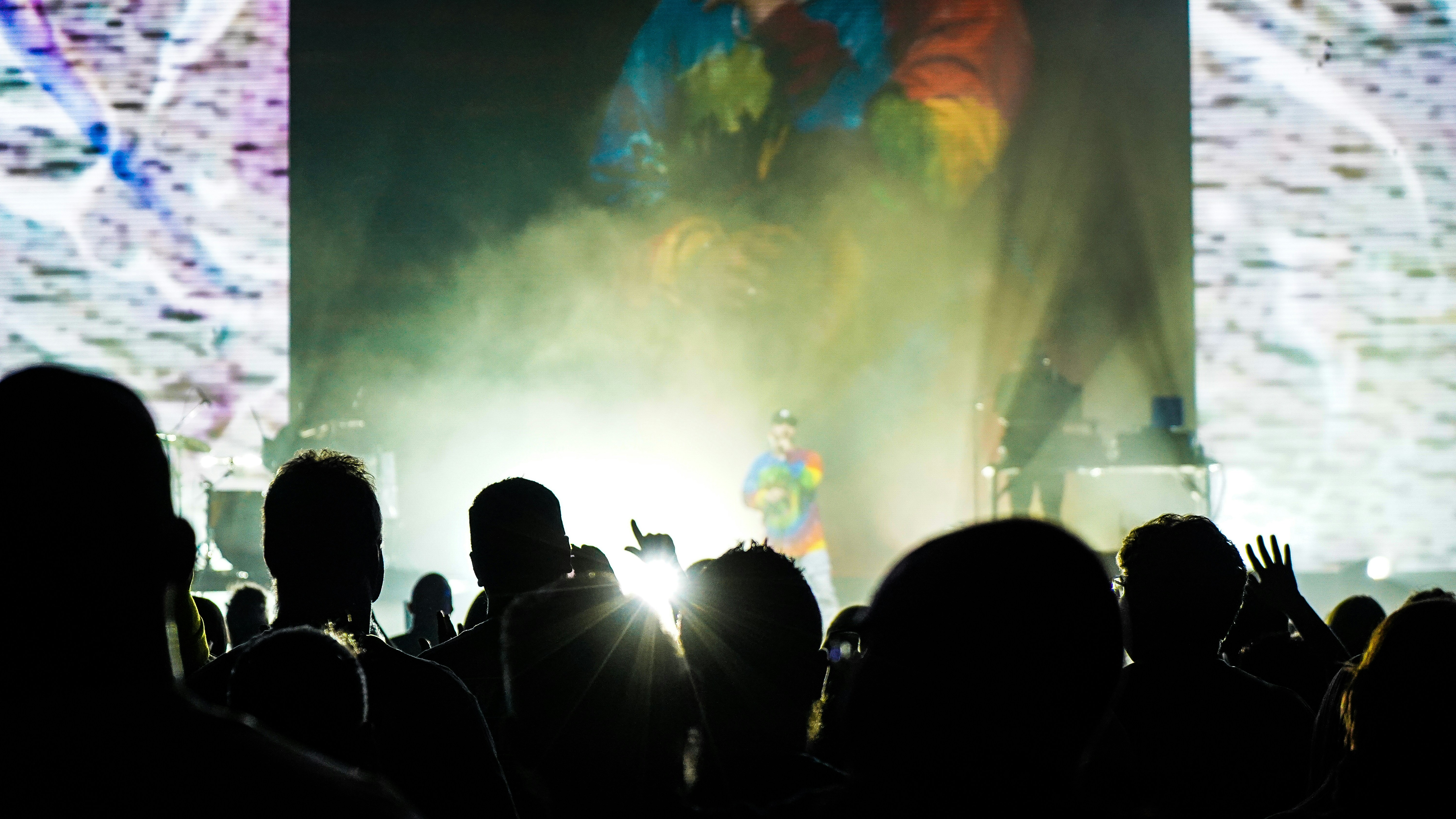 people standing on a concert