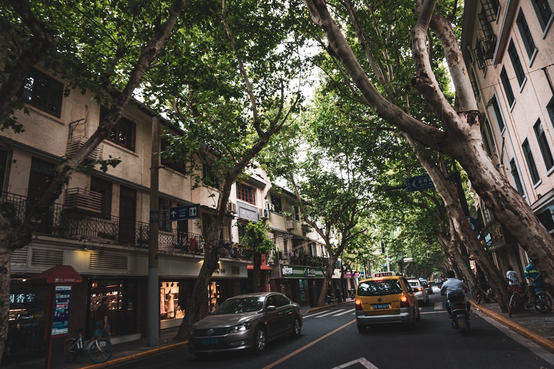 travelers stories about Town in Shanghai, China