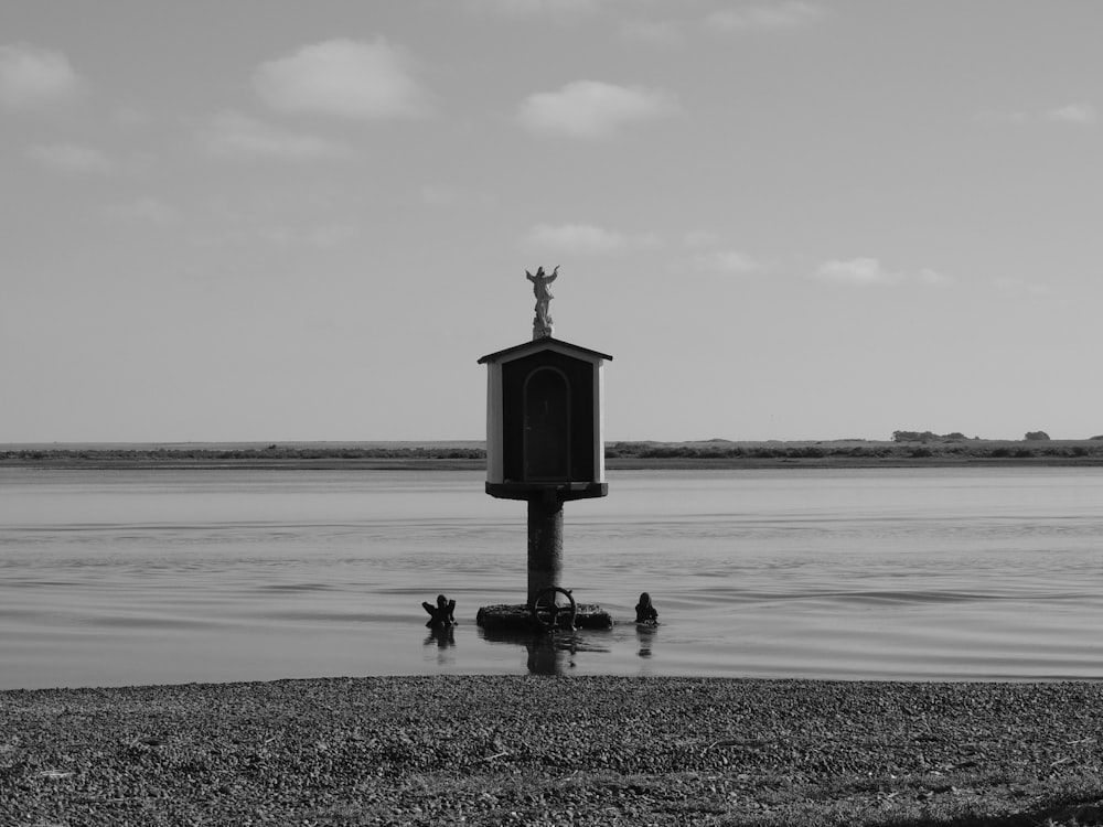 Photo en niveaux de gris d’un lampadaire noir sur l’eau