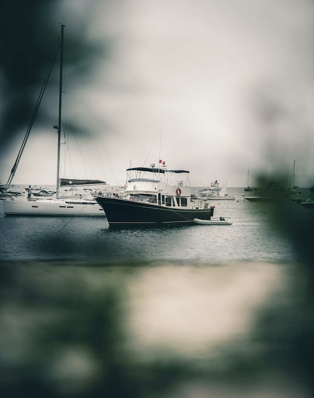 white and black boat on body of water