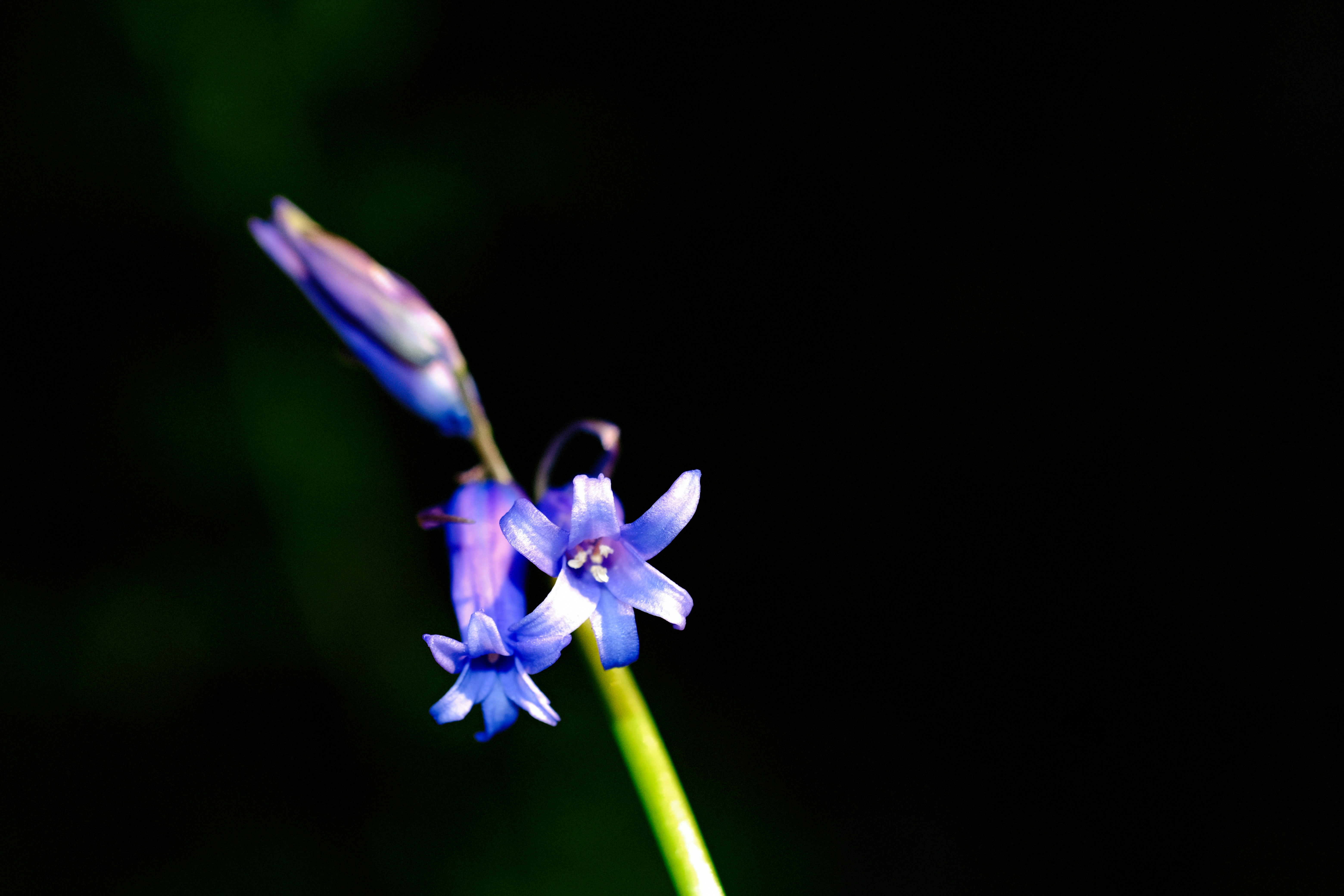 Photo by grievek1610begur