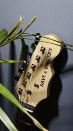 A guitar headstock with the brand name 'Dave & Buster's' is partially obscured by green plant leaves. The background is a solid gray color.