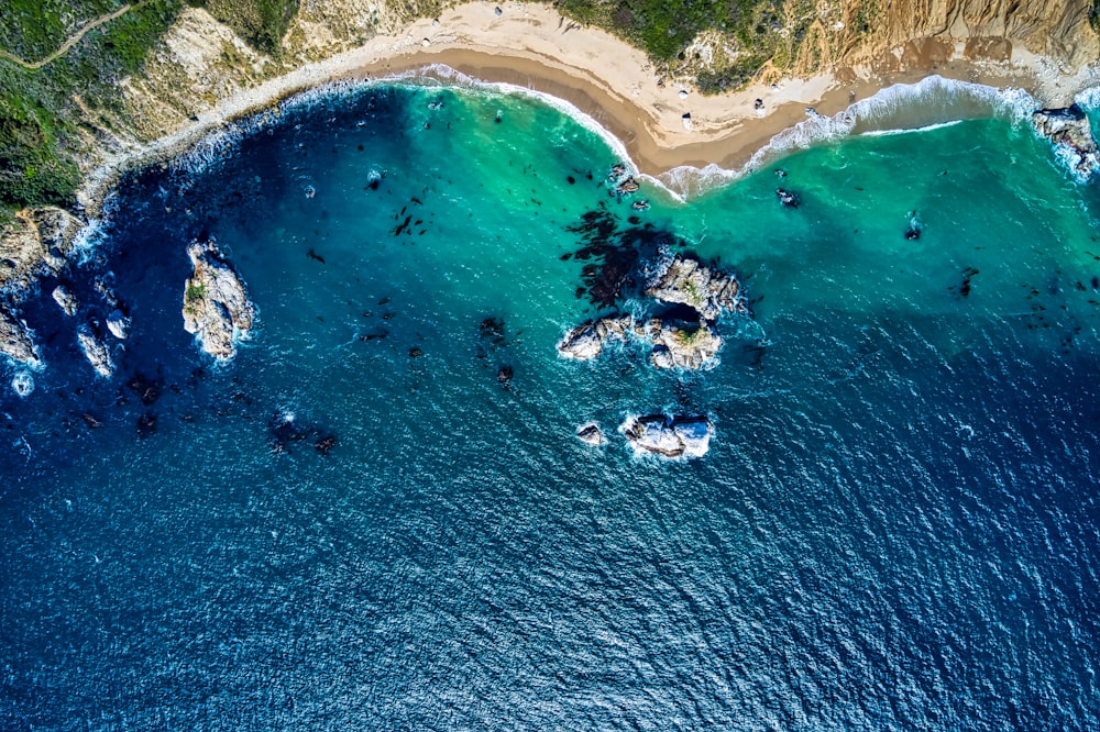 people on beach during daytime