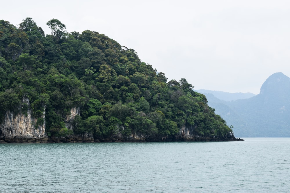 green trees on island during daytime