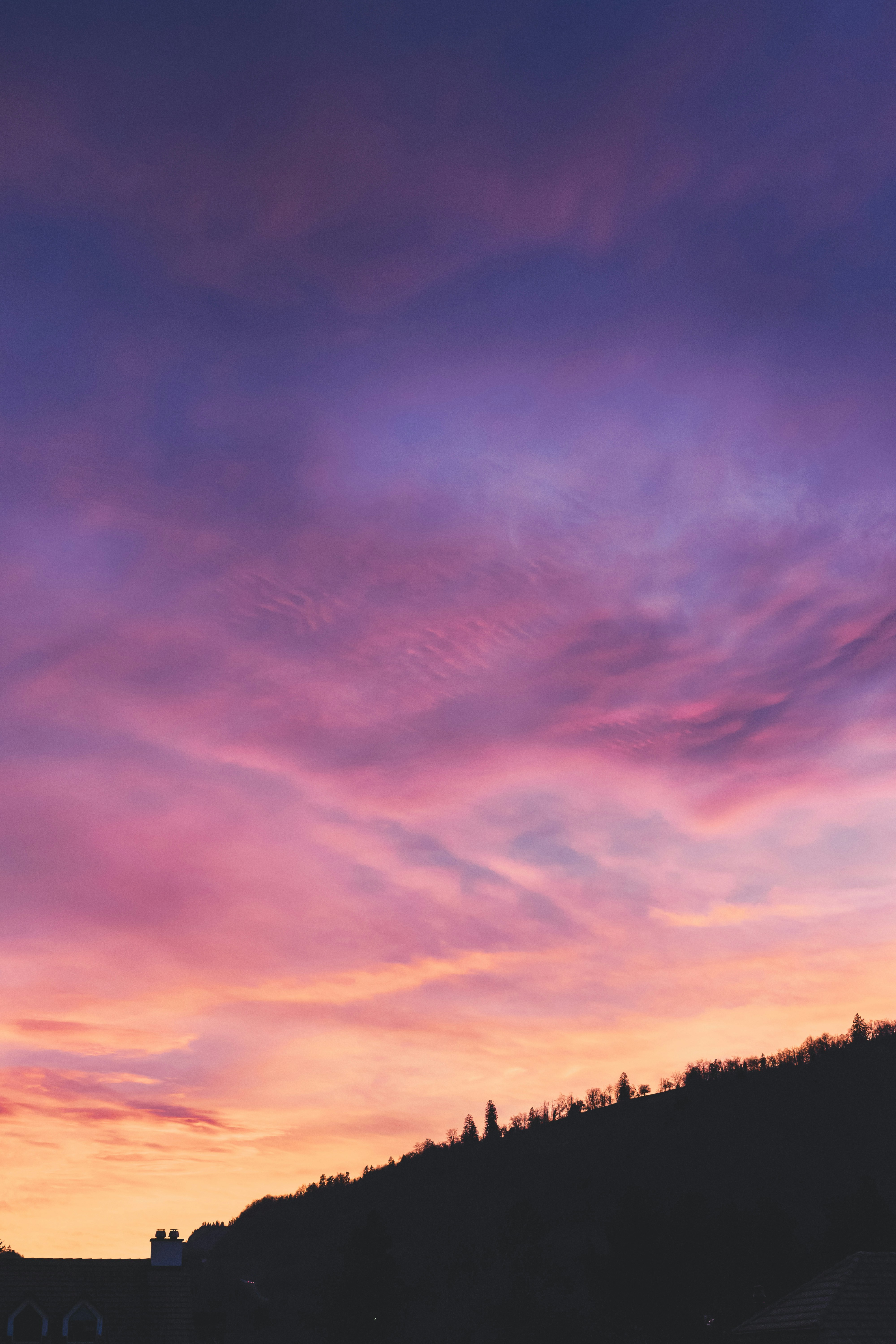 Photo by virussinside