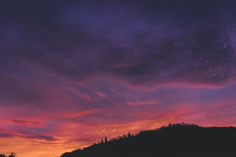 silhouette of trees during sunset