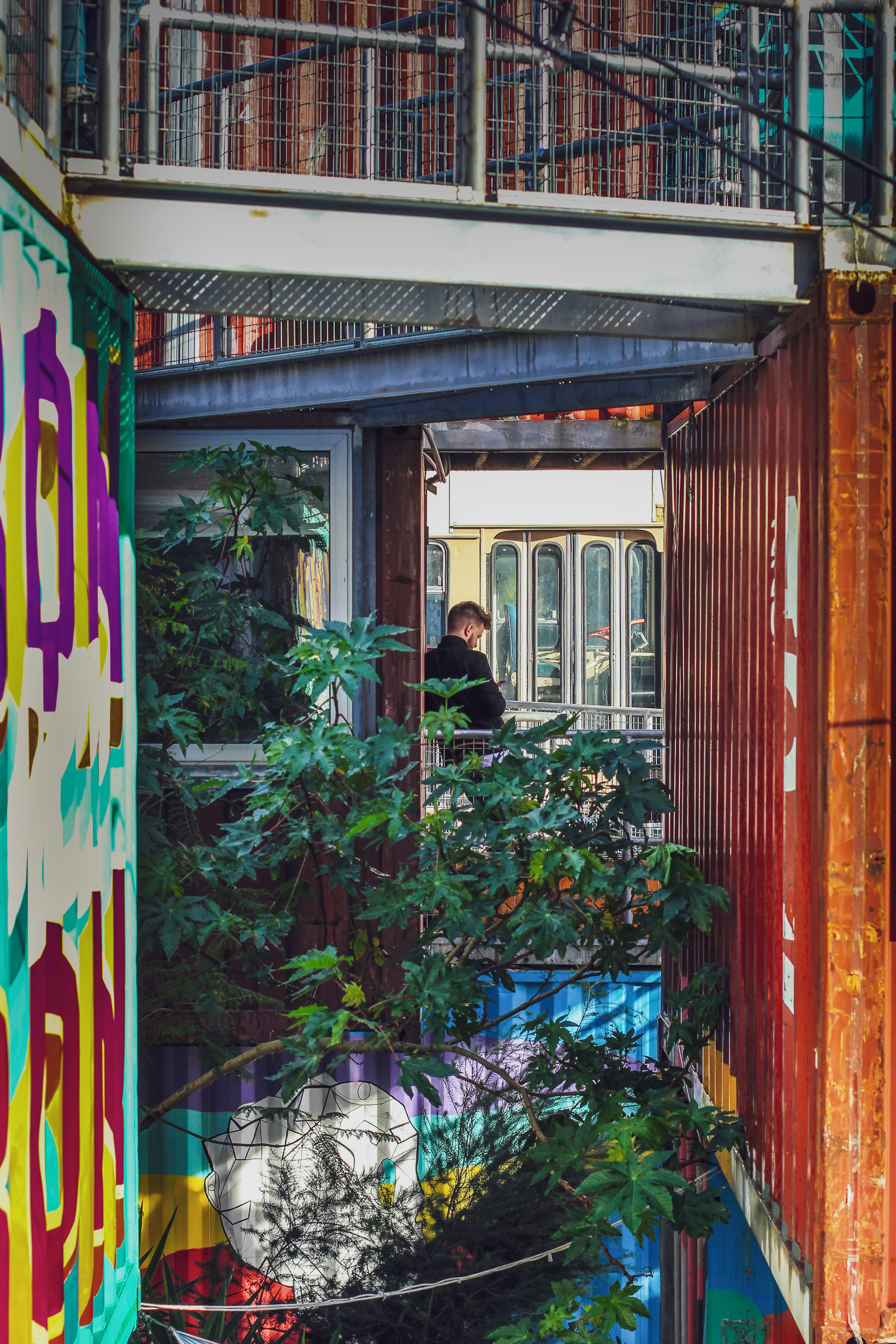 Photo by izhak