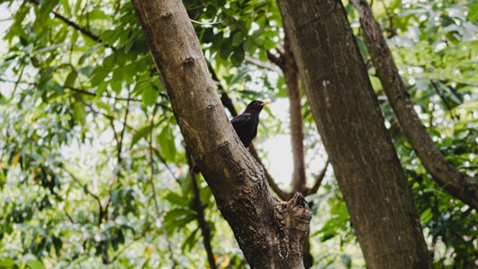 photo of China Nature reserve near Mirs Bay