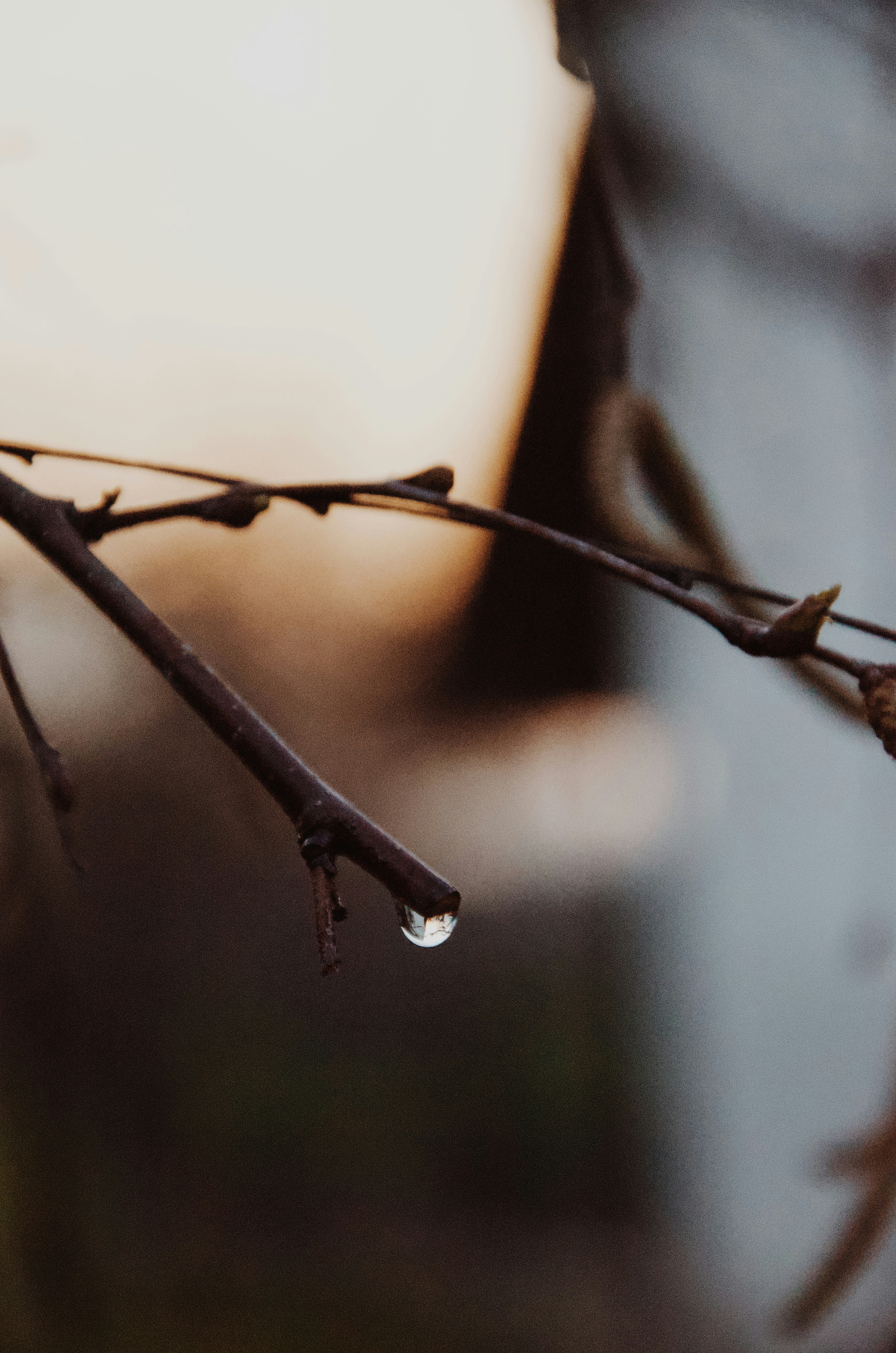 Photo by justjullietta