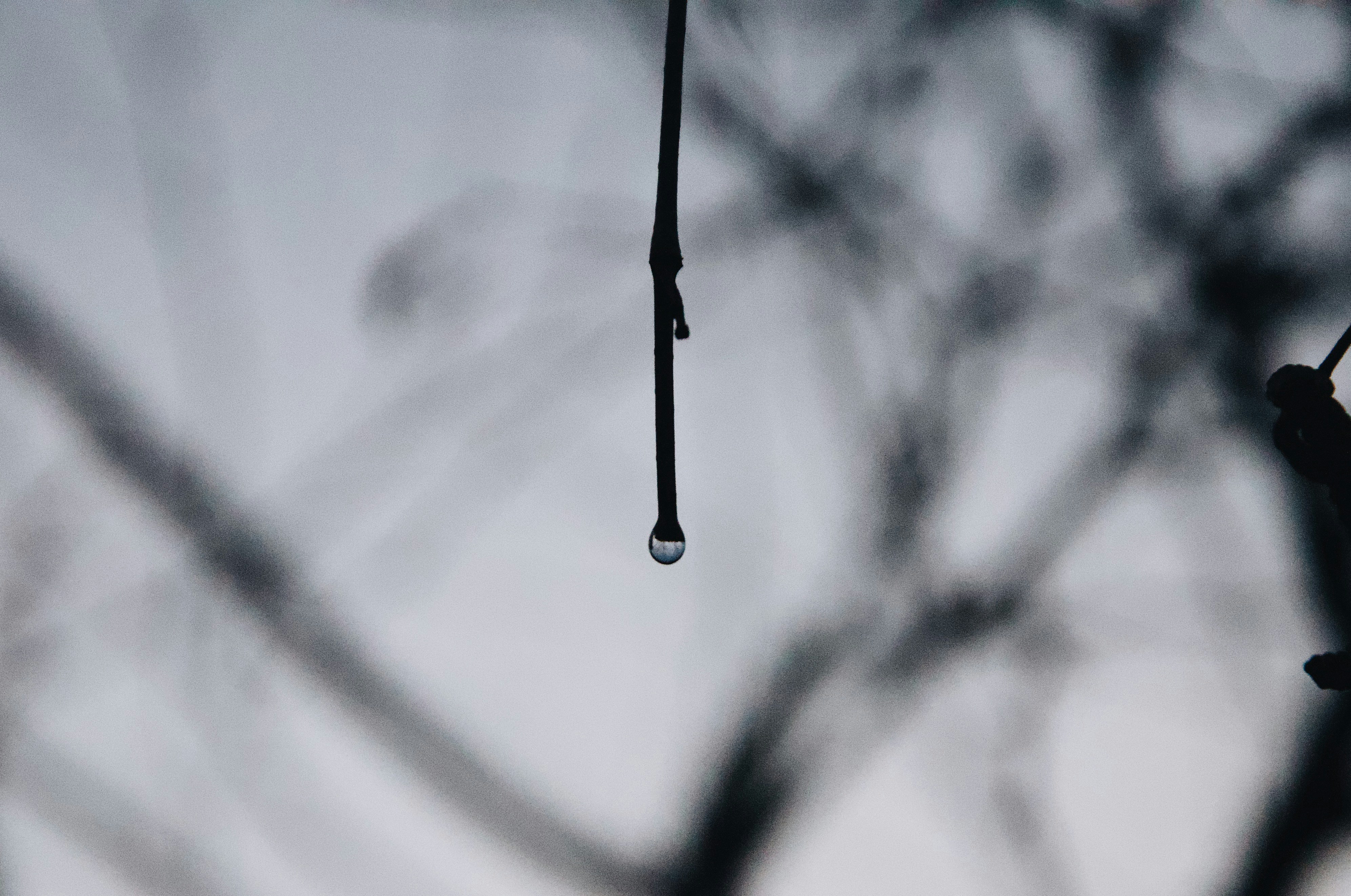 Photo by justjullietta