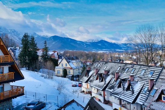 white and brown houses near green trees and mountains under white clouds and blue sky during