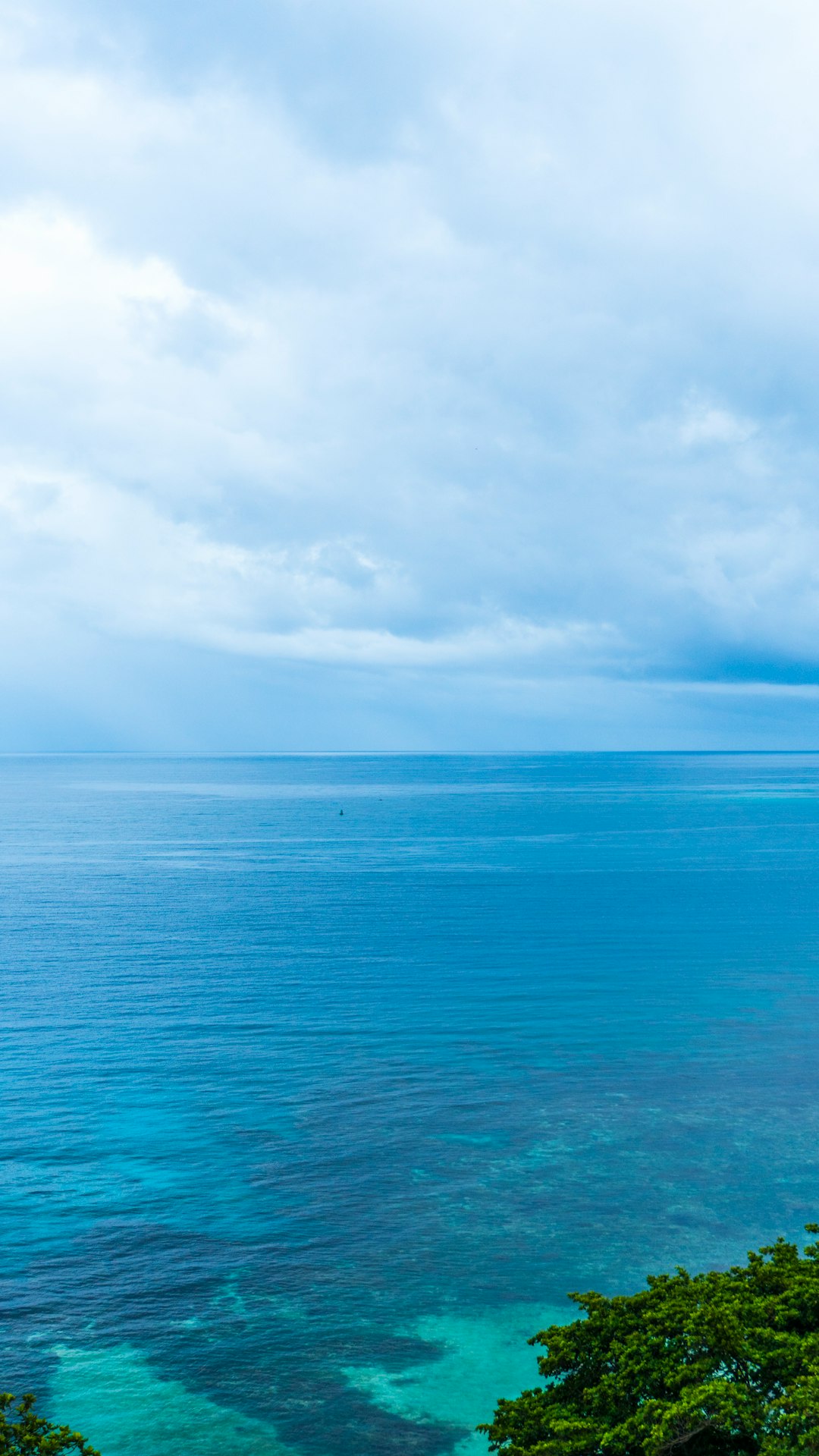 Natural landscape photo spot Ocho Rios Kingston