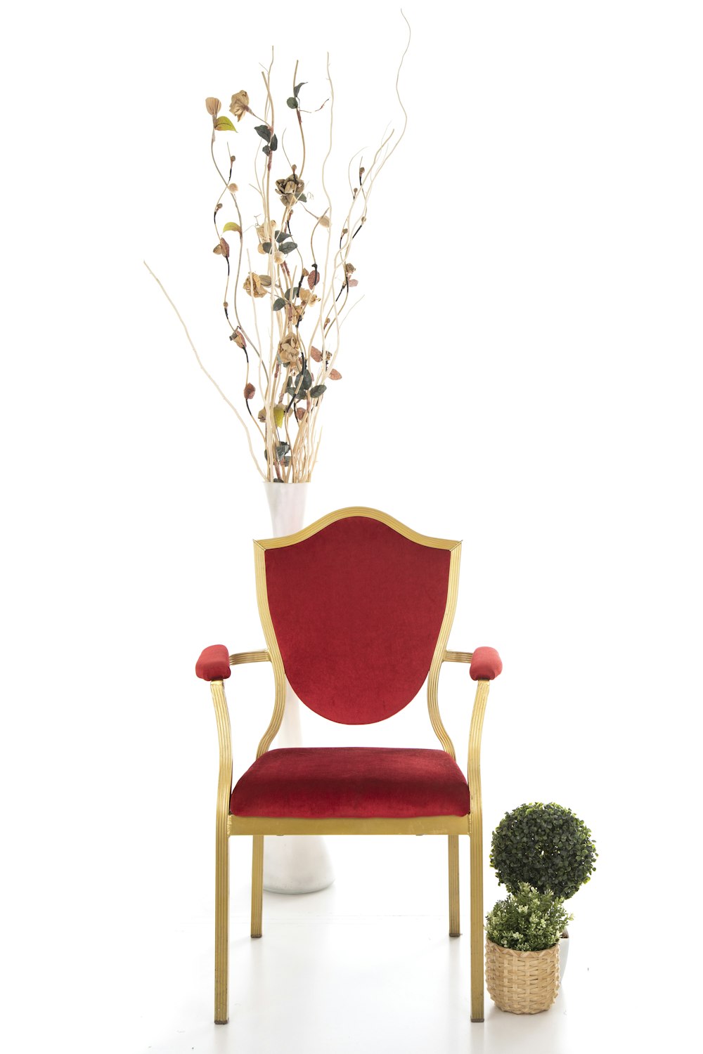 plante verte sur chaise rouge